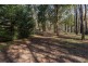 150 Castella Road, Castella VIC 3777