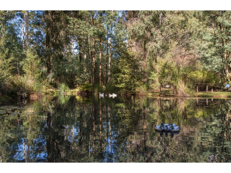 150 Castella Road, Castella VIC 3777