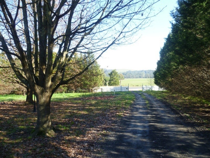 311 Healesville-Koo Wee Rup Road, Badger Creek VIC 3777