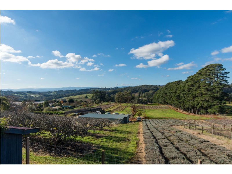 15 Henderson Hill Road, Silvan VIC 3795