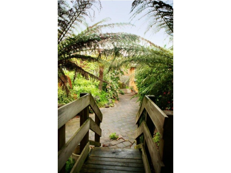 13 Pine Street, Lilydale VIC 3140