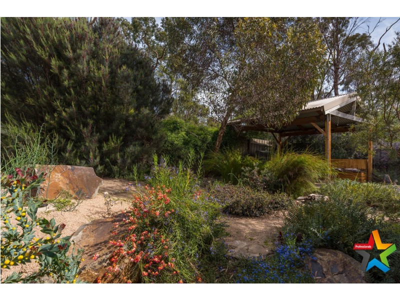 16 Pacific Drive, Mooroolbark VIC 3138