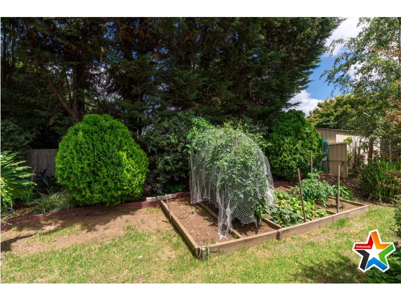 41 Chester Street, Lilydale VIC 3140