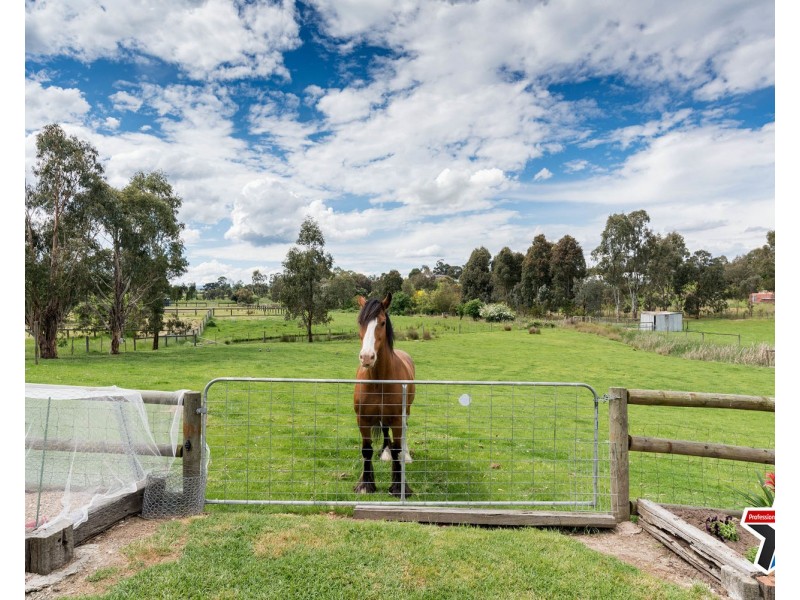 15 King Street, Yarra Glen VIC 3775
