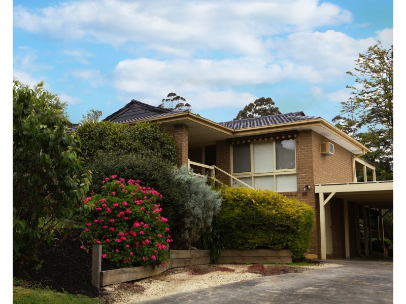 115 Rolling Hills Road, Chirnside Park VIC 3116