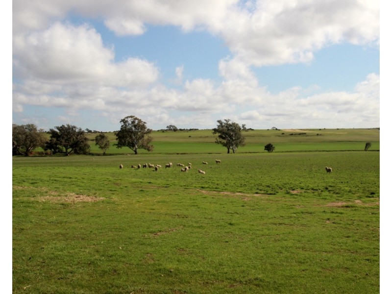 835  McCallums Creek Road, Majorca VIC 3465