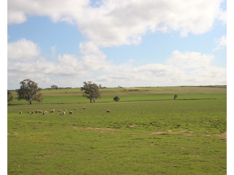 835  McCallums Creek Road, Majorca VIC 3465