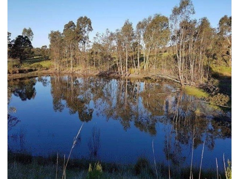 29 Stringybark Lane, Avoca VIC 3467