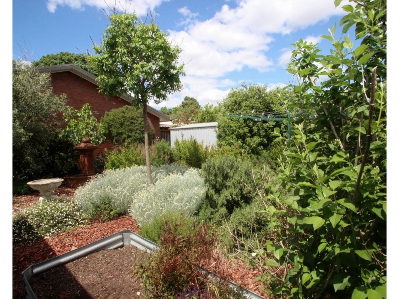 35 Bucknall Street, Carisbrook VIC 3464