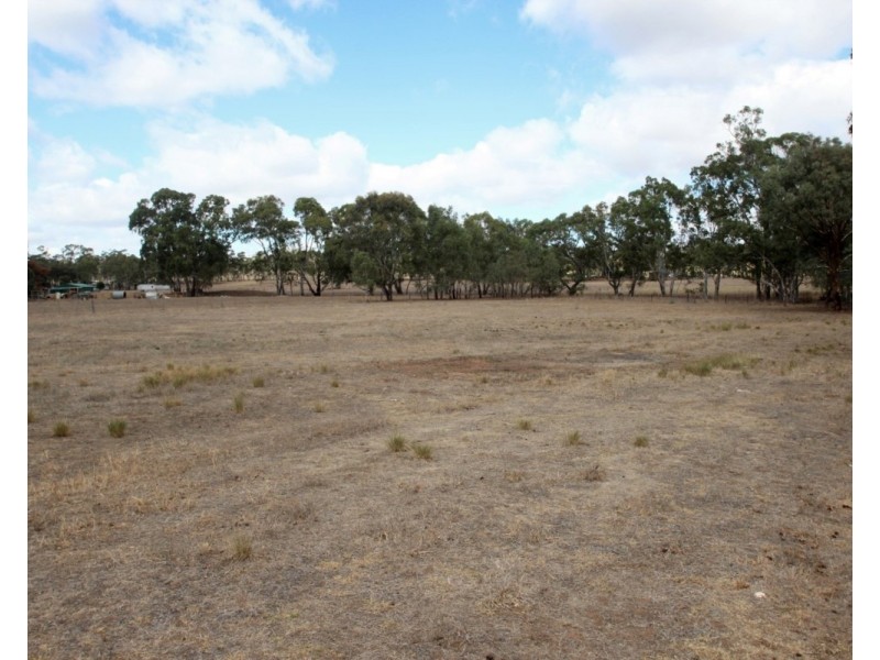 41 Franklin Park Road, Maryborough VIC 3465