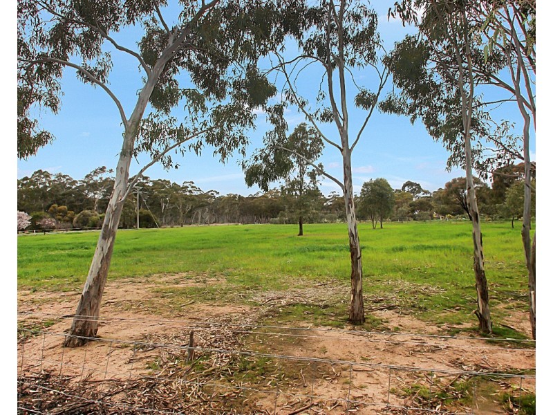 175 Adelaide Lead – Alma Road, Alma VIC 3465