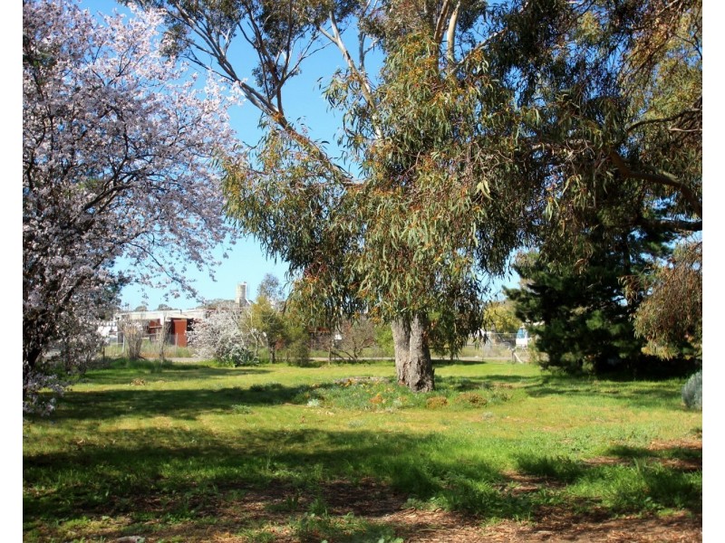 22 Homebush Road, Avoca VIC 3467