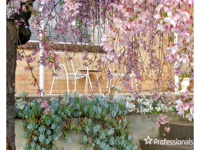 21 Wellington Street, Maryborough VIC 3465