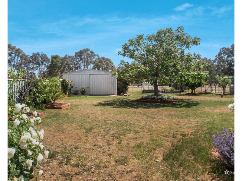 1115 Maryborough-Dunolly Road, Bet Bet VIC 3472