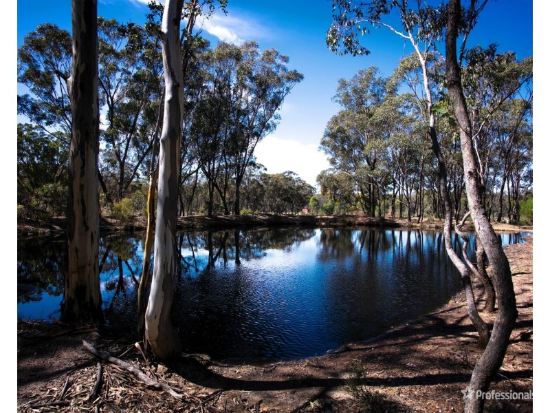 14 & 14A/Sec 6 Bridgewater-Dunolly Road, Waanyarra VIC 3551