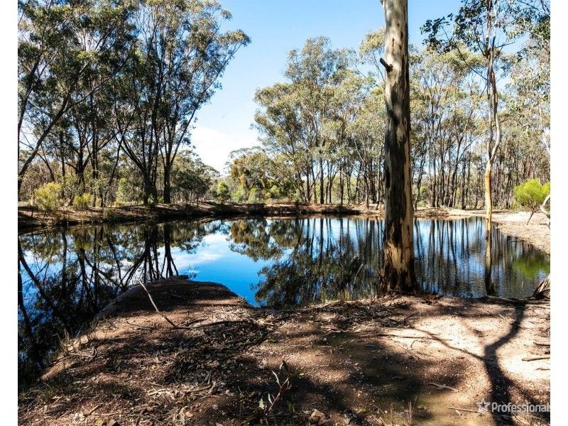 14 & 14A/Sec 6 Bridgewater-Dunolly Road, Waanyarra VIC 3551