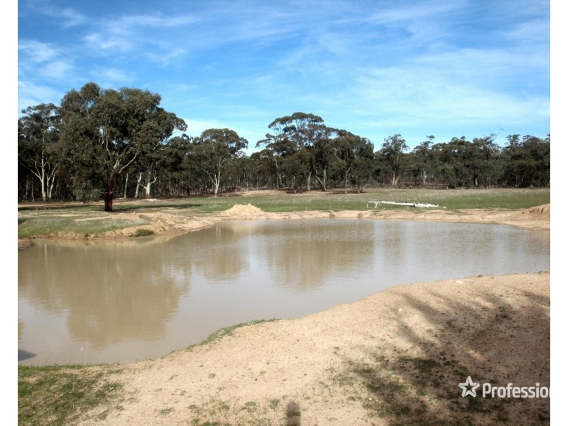 1145 St Arnaud – Dunolly Road, Bealiba VIC 3475