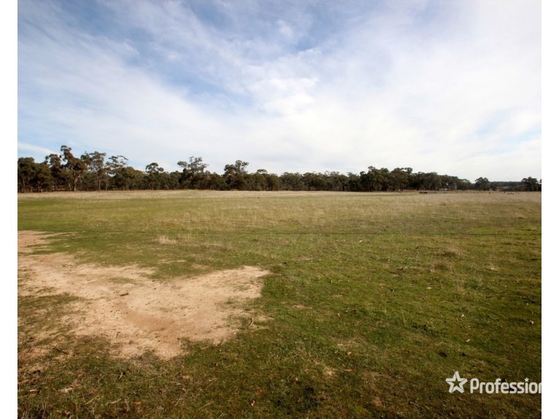 1145 St Arnaud – Dunolly Road, Bealiba VIC 3475