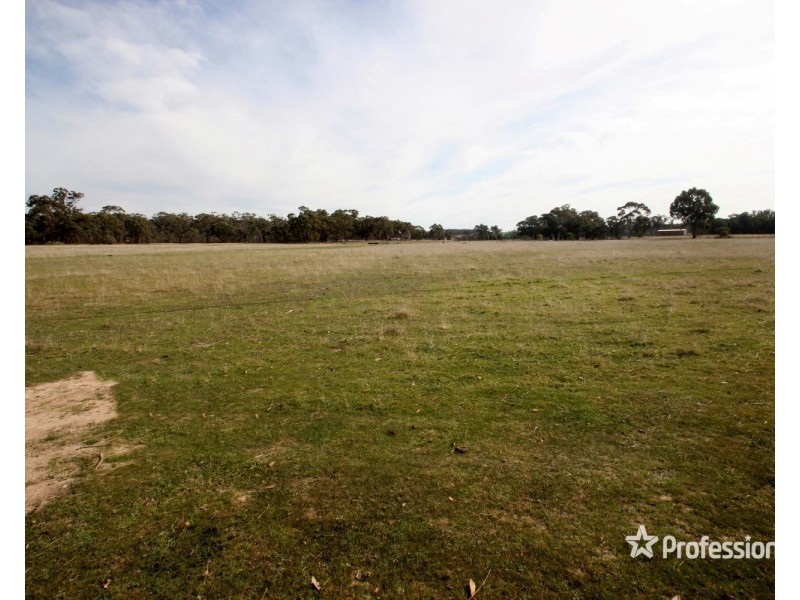 1145 St Arnaud – Dunolly Road, Bealiba VIC 3475