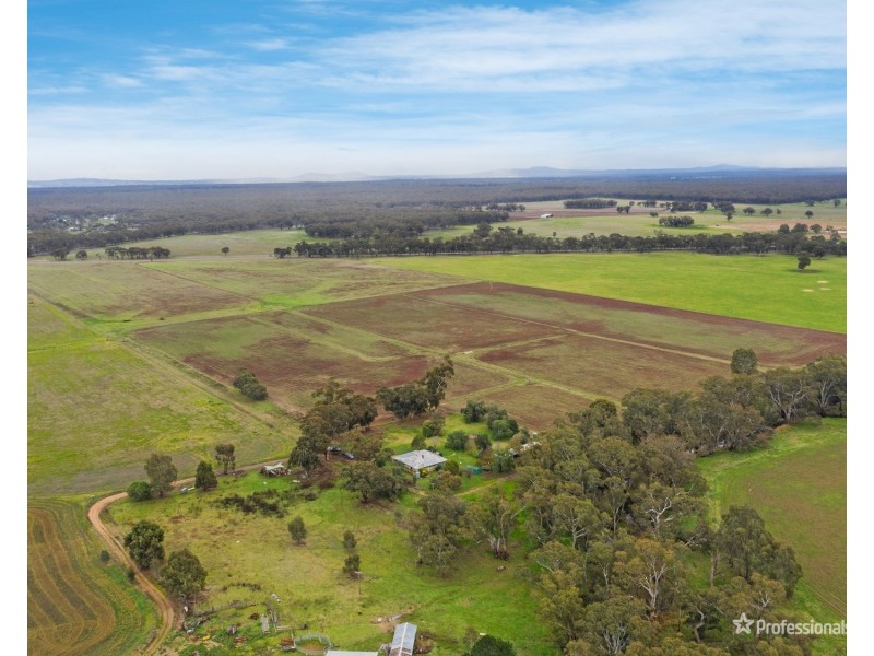 99 Newmarket Road, Carisbrook VIC 3464