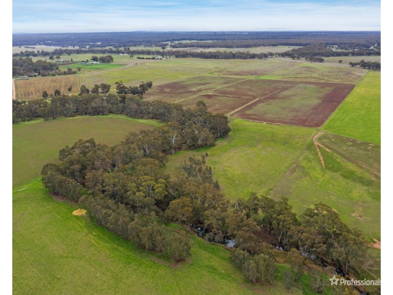 99 Newmarket Road, Carisbrook VIC 3464