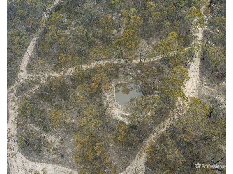 1345 Landrigan Road, Daisy Hill VIC 3465