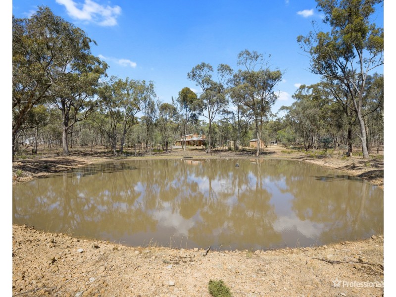 102 Bealiba South Road, Dunluce VIC 3472