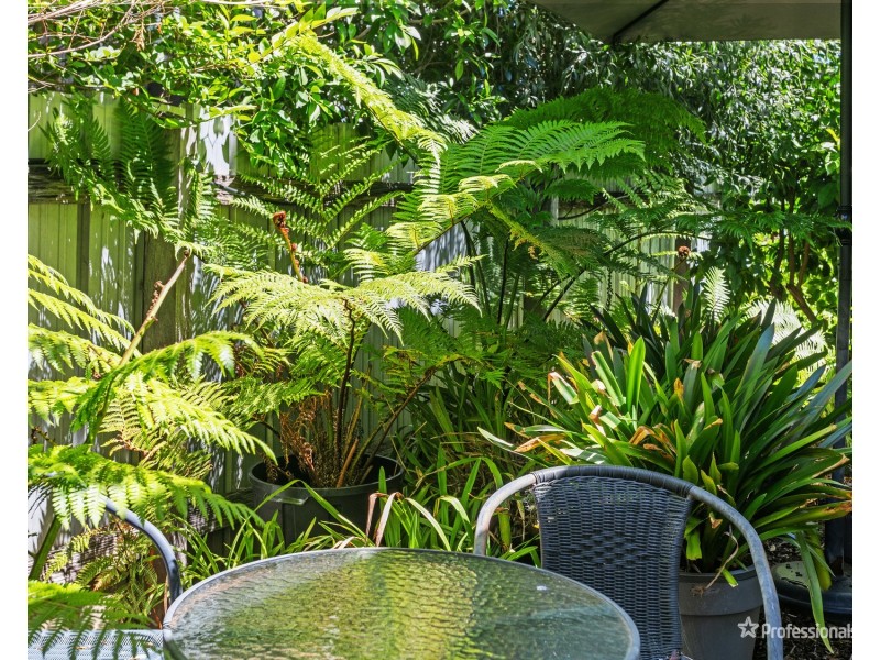 9 Clarendon Street, Maryborough VIC 3465