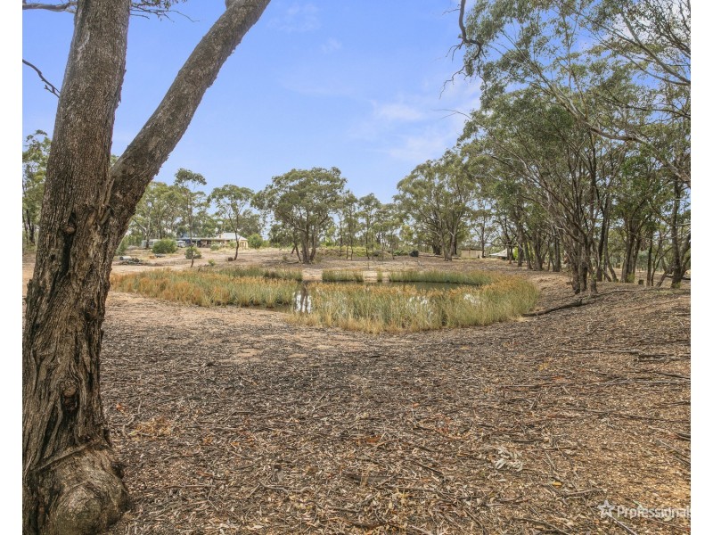 34 Flagstaff Lane, Flagstaff VIC 3465