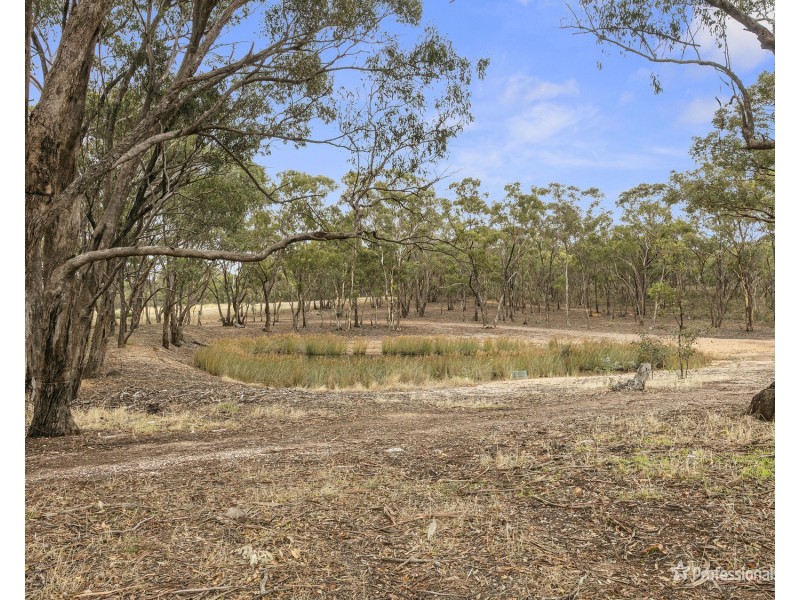 34 Flagstaff Lane, Flagstaff VIC 3465