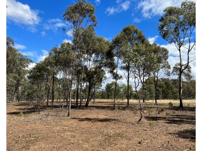 132 George Street, Bet Bet VIC 3472