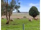 4641 Ballarat-Maryborough Road, Dunach VIC 3371
