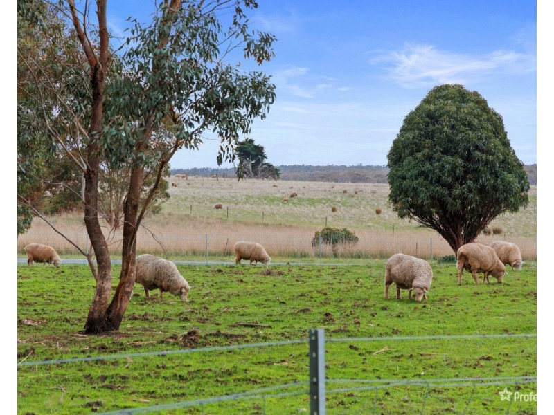 4641 Ballarat-Maryborough Road, Dunach VIC 3371