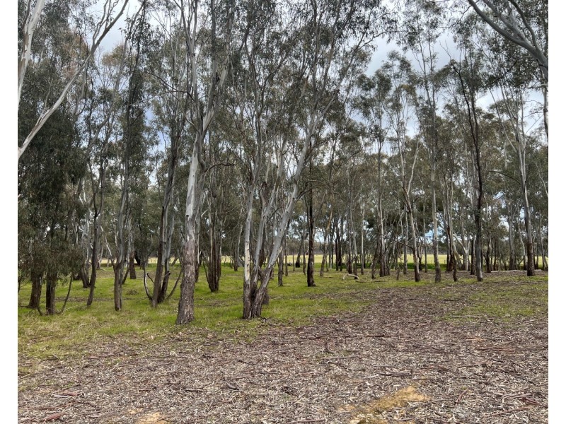 453 Dunolly- Moliagul Road, Dunolly VIC 3472
