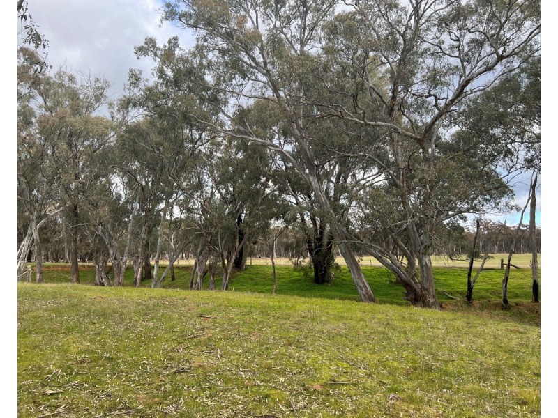 453 Dunolly- Moliagul Road, Dunolly VIC 3472