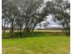 453 Dunolly- Moliagul Road, Dunolly VIC 3472