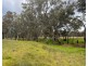 453 Dunolly- Moliagul Road, Dunolly VIC 3472