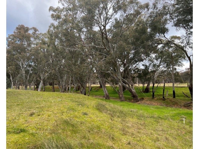453 Dunolly- Moliagul Road, Dunolly VIC 3472