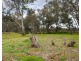 453 Dunolly- Moliagul Road, Dunolly VIC 3472