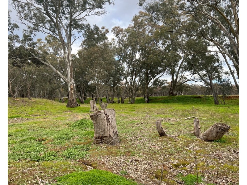 453 Dunolly- Moliagul Road, Dunolly VIC 3472