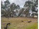 453 Dunolly- Moliagul Road, Dunolly VIC 3472