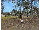 453 Dunolly- Moliagul Road, Dunolly VIC 3472