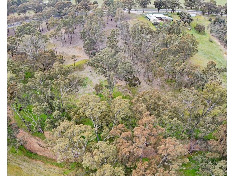453 Dunolly- Moliagul Road, Dunolly VIC 3472