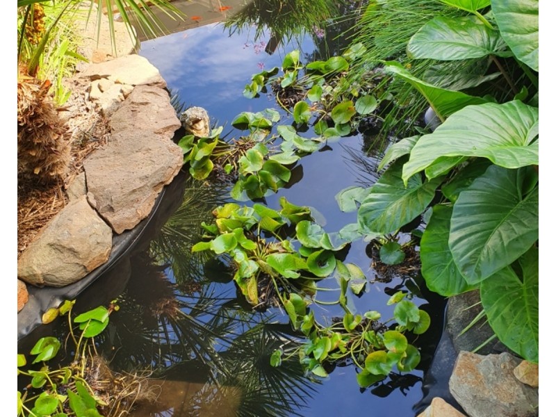 2 King Street, Talbot VIC 3371