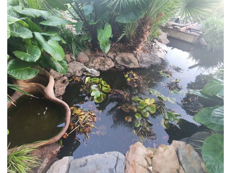 2 King Street, Talbot VIC 3371