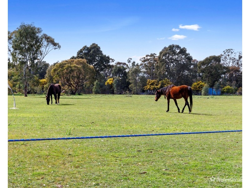 229 Dehnerts Road, Daisy Hill VIC 3465