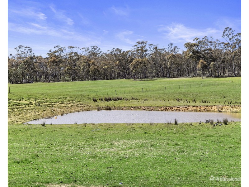 1265 Dunach-Eddington Road, Red Lion VIC 3371