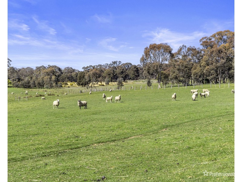 1265 Dunach-Eddington Road, Red Lion VIC 3371