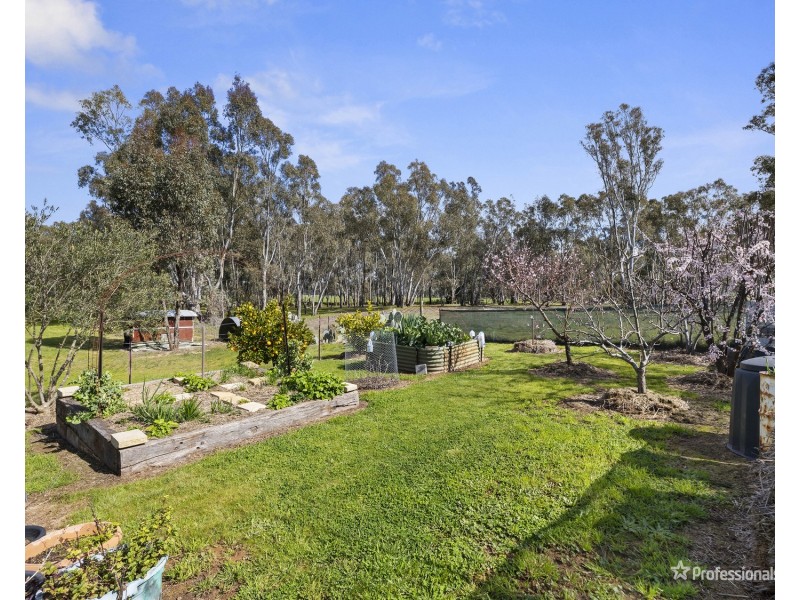 445 Dunolly- Moliagul Road, Dunolly VIC 3472