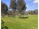 445 Dunolly- Moliagul Road, Dunolly VIC 3472